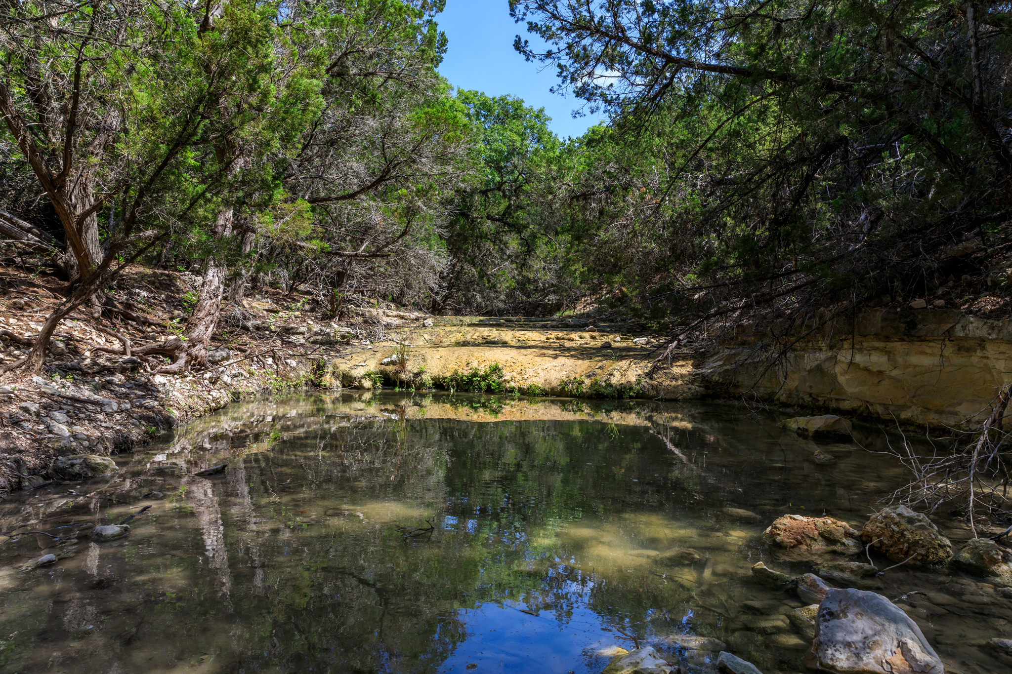 Pinon Bluffs