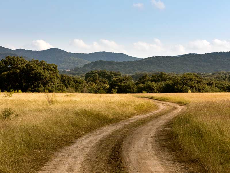 Acres of Vistas