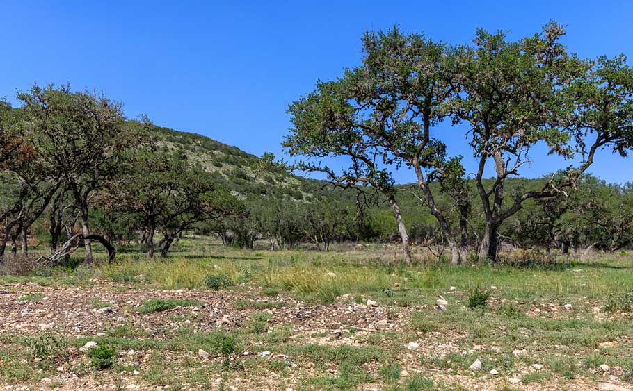 Honey Hills