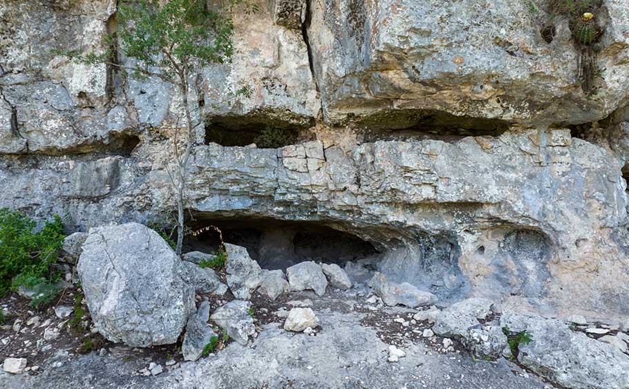 Pinon Bluffs