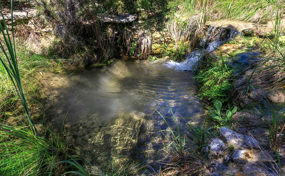 Sotol Ranch