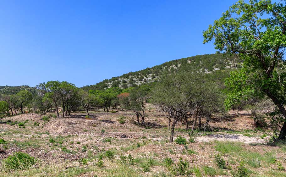 Honey Hills
