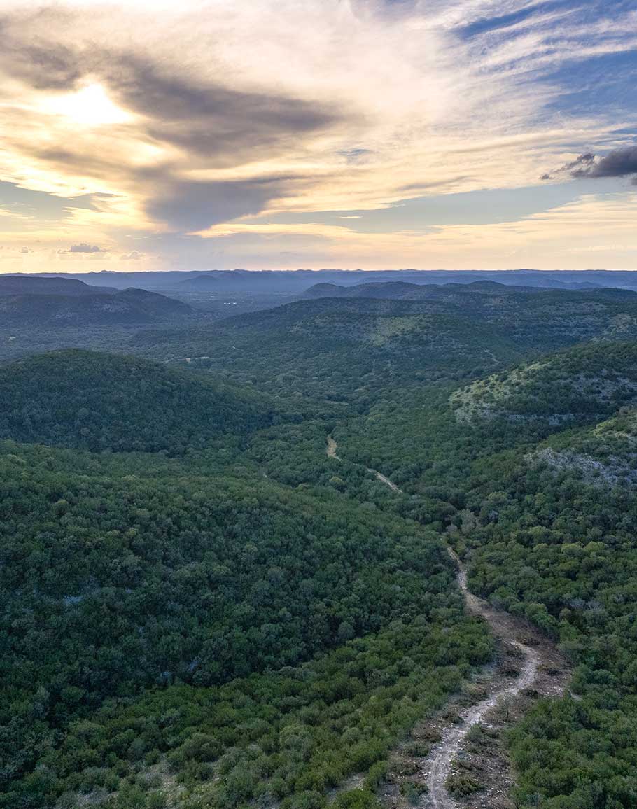 Honey Hills