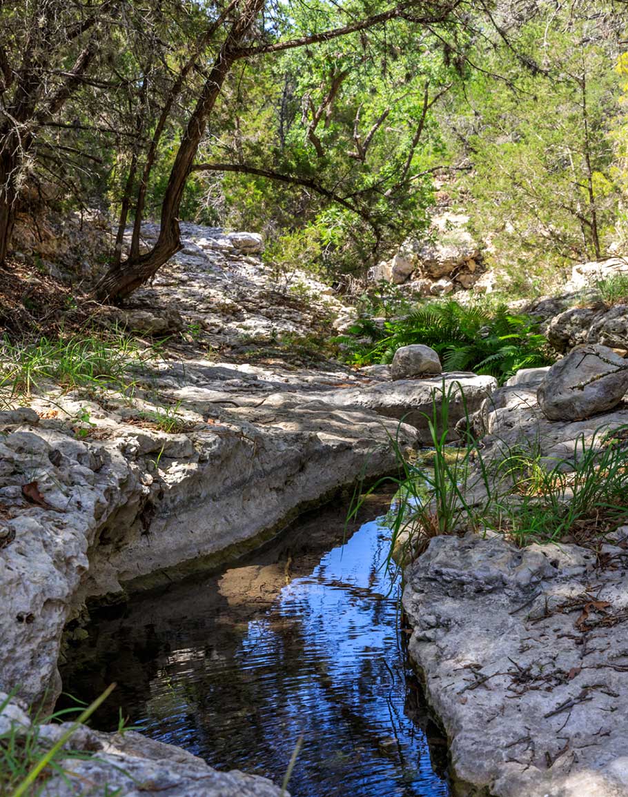 Pinon Bluffs